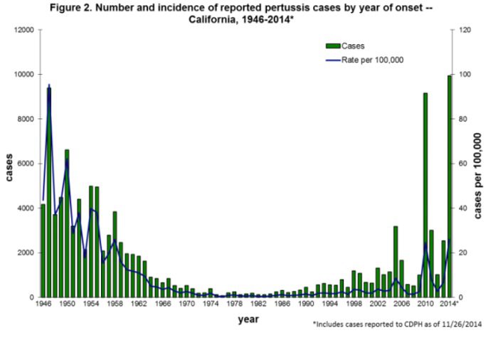 pertussis cases